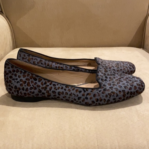 Grey Leopard - Picture 2 of 8